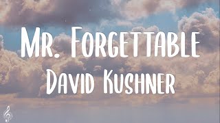 David Kushner  Mr Forgettable Lyrics [upl. by Abbub]