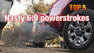 60 Powerstroke Cold Start Compilation [upl. by Anitaf73]