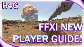 FFXI Guide for New Players [upl. by Dorelle]