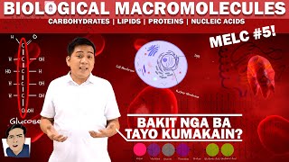 Biological Macromolecules  Carbohydrates Lipids Proteins Nucleic Acids  ScienceKwela [upl. by Eiggam825]