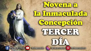 Novena a la Inmaculada Concepción  Día 3 🙏 1 de Diciembre 2024 [upl. by Glick]