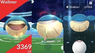 Raids amp Catch Wailmer Pokémon Go [upl. by Herra]