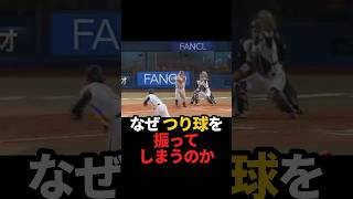 なぜ つり球を振ってしまうのかsports 野球 野球ネタ プロ野球 やきゅスト [upl. by Nirad]