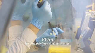 Understanding Developmental Immunotoxicology and the Effects of PFAS [upl. by Franckot]