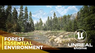 Unreal Engine 5  Cinematic Walkthrough in Highland Forest  Forest Ambience [upl. by Eenolem591]