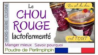 🇫🇷 Conserve de CHOU ROUGE lactofermenté 🍴 [upl. by Stesha796]