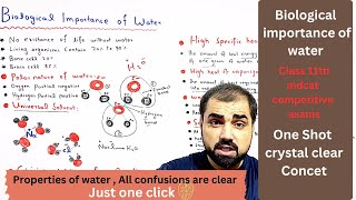 Biological importance of water  properties of water  class 11 biology  in Urdu Hindi medium [upl. by Islaen]