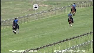 20180929 Scottsville Rural Race 8 [upl. by Nayk898]