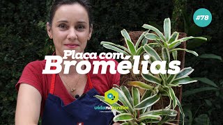 Faça você mesmo uma placa com bromélias placa de fibra de coco 78  DIY [upl. by Alecia117]