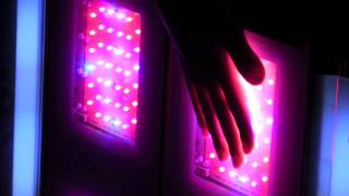 California Light Works Solar Storm 800W LED Grow Light  GrowersHousecom [upl. by Kassity36]