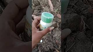 Azoxystrobin 182 Difenoconazole 114 fungicide use in hindi magnite fungicide [upl. by Jere]