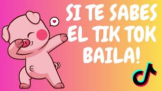 ❤️Si Te Sabes El Tiktok Baila 2023❤️ [upl. by Zulaledairam447]