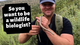 How To Become A Wildlife Biologist [upl. by Neiht]