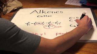 Alkanes Alkenes Alkynes of Fun [upl. by Mckeon979]