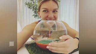 Simona Halep revine pe terenul de tenis  DETALII [upl. by Cowan]