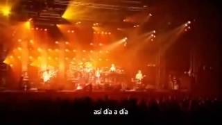 Abingdon Boys School  From Dusk Till Dawn sub español [upl. by Bodi982]