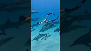 Swimming with dolphins nature swimming dolphin beautiful [upl. by Allenaj756]