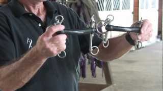 Fitting and Introducing the Pelham to Your Horse [upl. by Mayes]