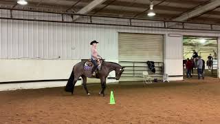 Nutrena Ride the Pattern Clinic Horsemanship [upl. by Mart]