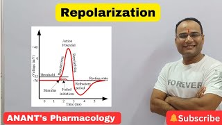 Repolarization [upl. by Pammi]