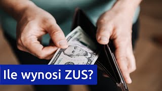 Ile Wynosi ZUS Przedsiębiorcy  Jak płacić niższy ZUS  Mały ZUS Ulga na Start Mały ZUS Plus [upl. by Sherlock]