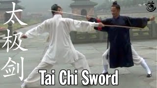 Tai Chi Sword Explained  Combat Form Philosophy Training 太极剑  武当山 [upl. by Lavella433]