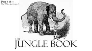 Part 7  The Jungle Book Audiobook 711 [upl. by Coleen]