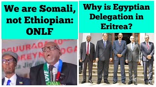 We are Somali not Ethiopian says ONLF Leader  Why is Egyptian Delegation in Eritrea [upl. by Phina836]