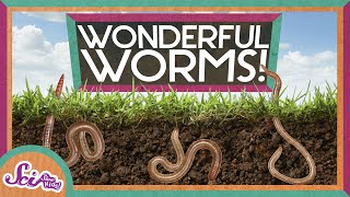 Worms Are Wonderful  Amazing Animals  Backyard Science  SciShow Kids [upl. by Ahsitniuq]