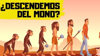 🐒TEORÍA de la EVOLUCIÓN de DARWIN ✅ EXPLICACIÓN RÁPIDA y SENCILLA [upl. by Ahseele652]