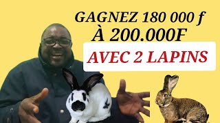 COMMENT GAGNER 200000 FCFA EN 4 MOIS AVEC 2 LAPINS [upl. by Phyllida]