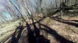 CRF150RB Backyard Trails [upl. by Relyat161]