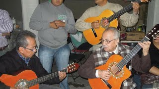 Tardes De BohemiaTrio  Reina Mia Ft Saulo Sedano de Los Tres Diamantes [upl. by Nahgeam291]