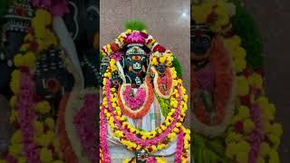 VIGNA VINAYAKA🙏 ganapatibappamorya gajanana viralvideo viralshort trending [upl. by Hurlow]