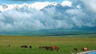 Ayanchin  Mongol Magtaal [upl. by Krissy]