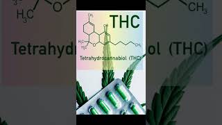 MarijuanaHempTHC amp CBD explained  What gets you High  Cannabis Sativa  Psychoactive Compounds [upl. by Aromat]