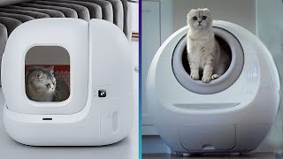 6 Best Automatic SelfCleaning Litter Boxes 2024 [upl. by Novah]