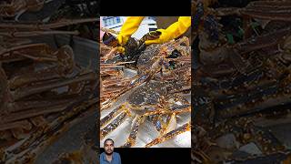 homard लॉबस्टर 龙虾 шорты crabe şort กุ้งก้ามกราม cortometraggi อาหารข้างทางเกาหลี koreya [upl. by Peti]