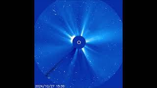 Comet C2024 S1 ATLAS Falls Into the Sun [upl. by Calvin761]