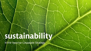 New Sustainability Film [upl. by Mor]