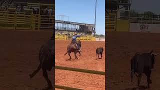 10 years old heel horseranch horse cowboy rodeos [upl. by Riay514]