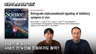 뇌과학 리뷰 quot뇌리quot Retrograde endocannabinoid signaling at inhibitory synapses in vivo [upl. by Yrrol451]