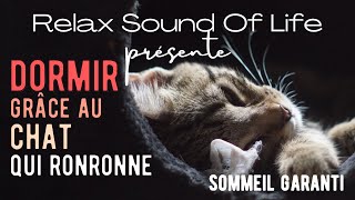 Ronronnements du chat pour sendormir rapidement  8h dun sommeil profond et réparateur [upl. by Ellenrahs846]