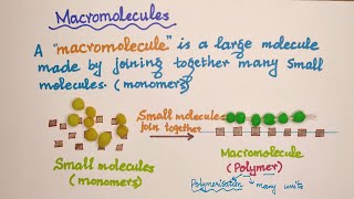 O level Chemistry  Organic Macromolecules Polymerization [upl. by Wester426]