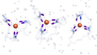 Siderophores [upl. by Akinaj273]