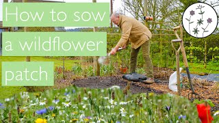 Sowing wildflowers an easy to follow how to guide to sowing a small wildflower patch [upl. by Fusco]