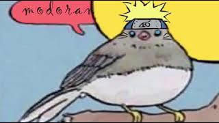 Annoyed Bird Meme Naruto [upl. by Yessej]