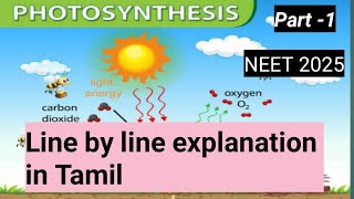 Photosynthesis in higher plants NCERT line by line explanation in Tamil [upl. by Anatsirhc]