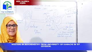 Subject Science Topic Human Ear Neche miss ka nam wth degrees [upl. by Macey]