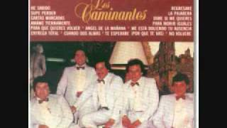 los caminantes prieta linda con banda0001wmv [upl. by Dacia341]